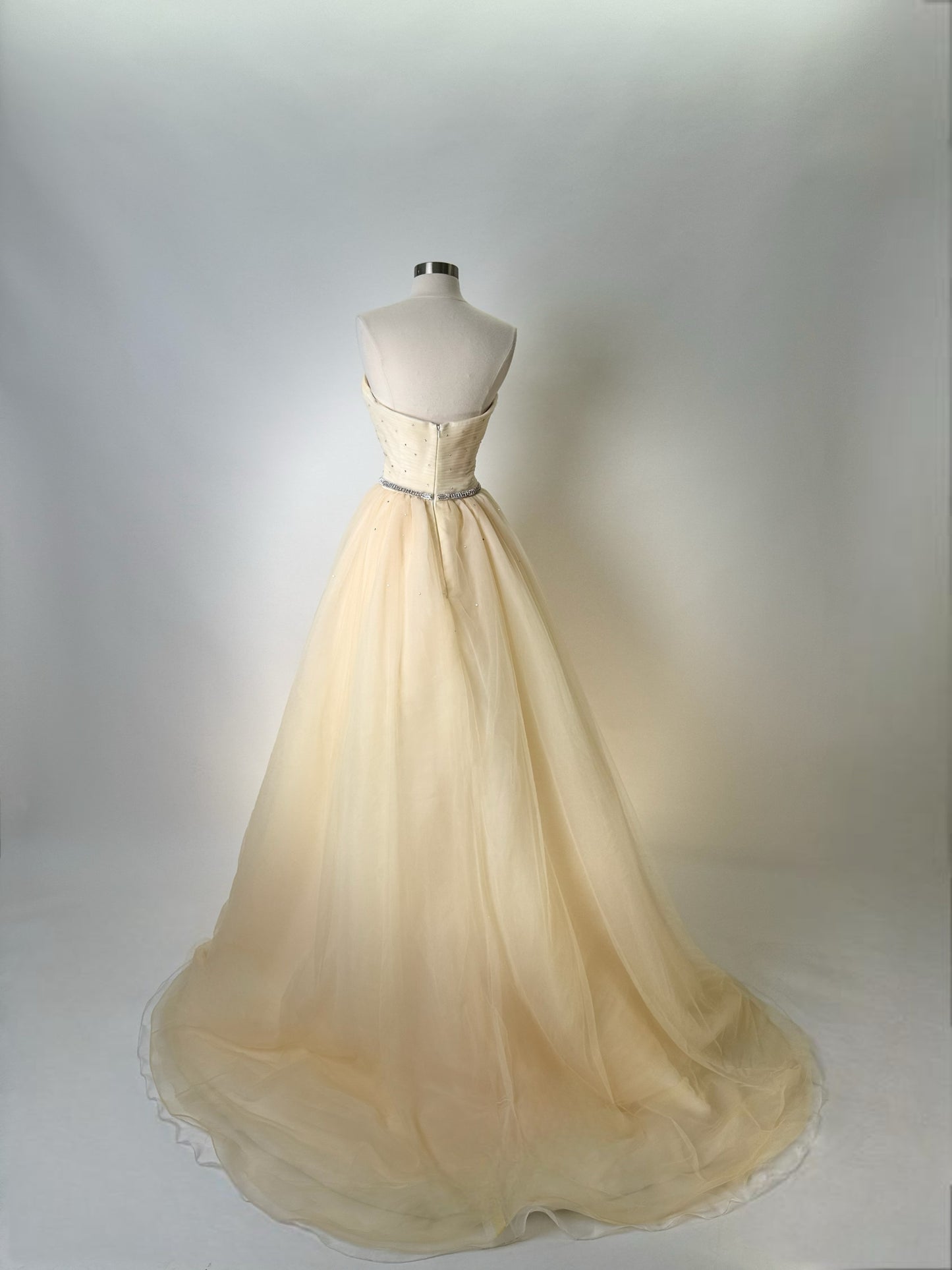 Brand New US 8 Anna Augusta Maxi Yellow Evening Dress