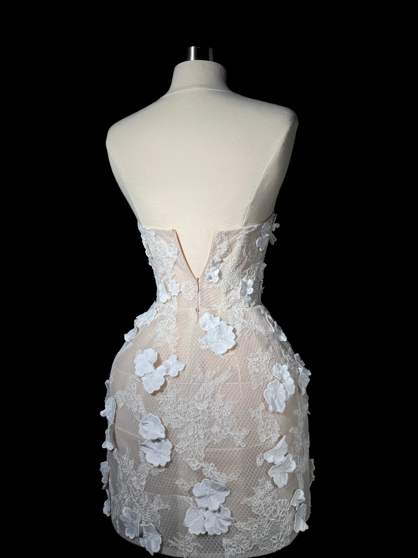 Brand New US 2 Anna Augusta Custom Made Engagement Dress In Nude Color with 3D Flowers Lace