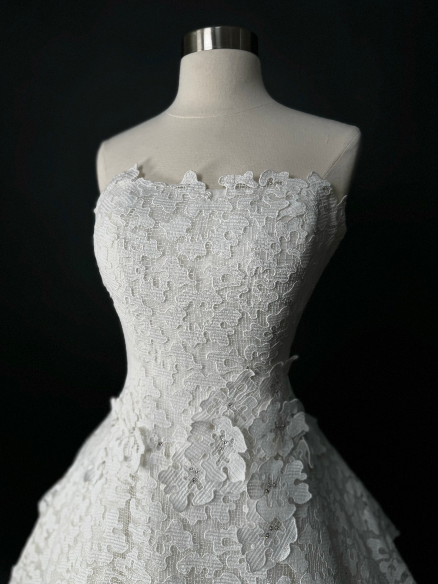 Edgardo A-Line Wedding Gown