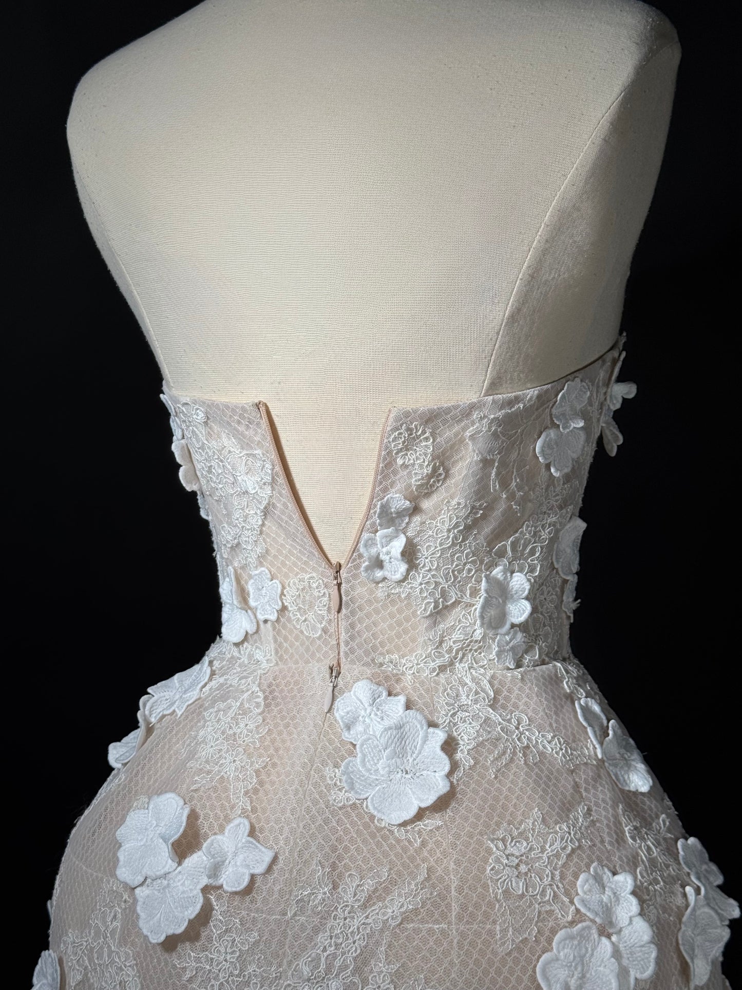 Brand New US 2 Anna Augusta Custom Made Engagement Dress In Nude Color with 3D Flowers Lace