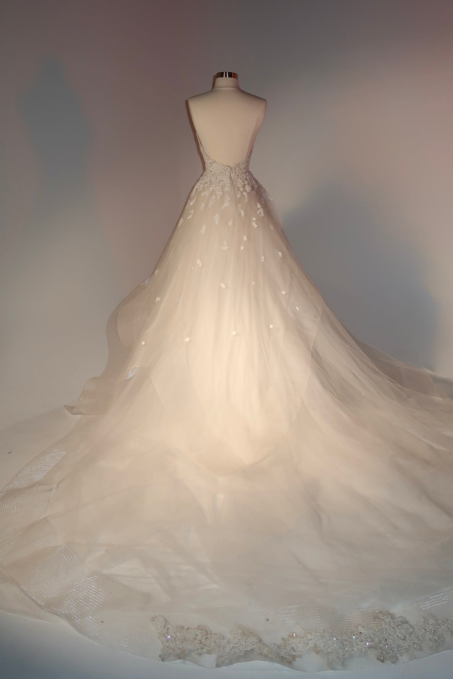 Floor Sample US6 Reem Acra Maxi Dress