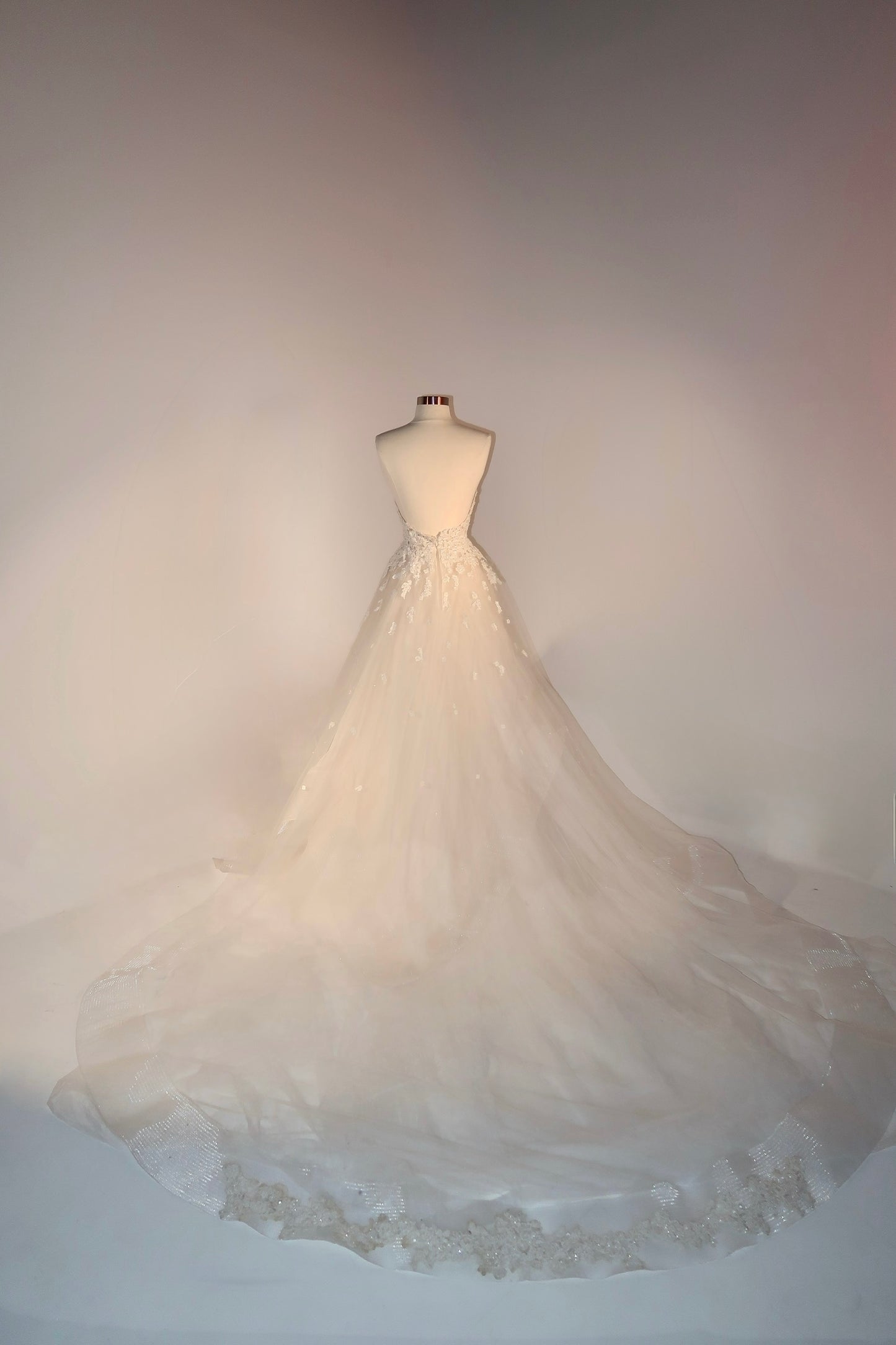 Floor Sample US6 Reem Acra Maxi Dress