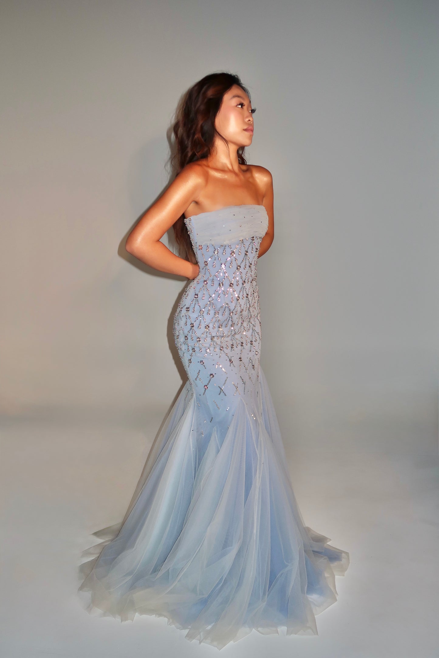 Brand New US4 Georges Hobeika Maxi Gown