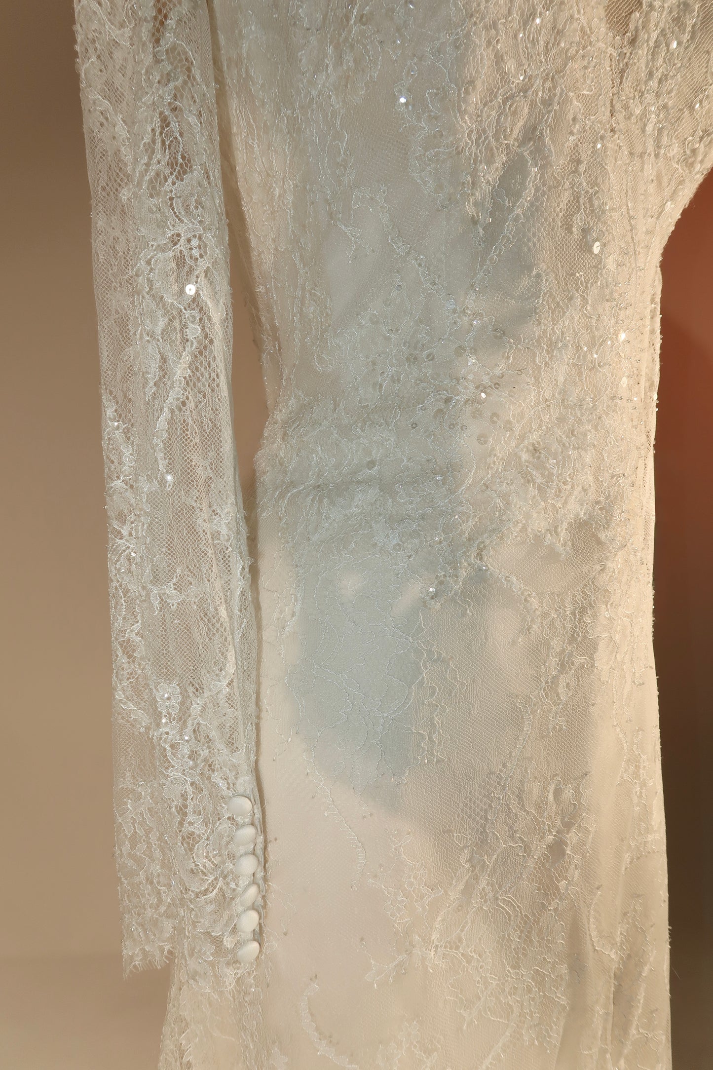 Floor Sample US10 Pronovias Bridal Dress