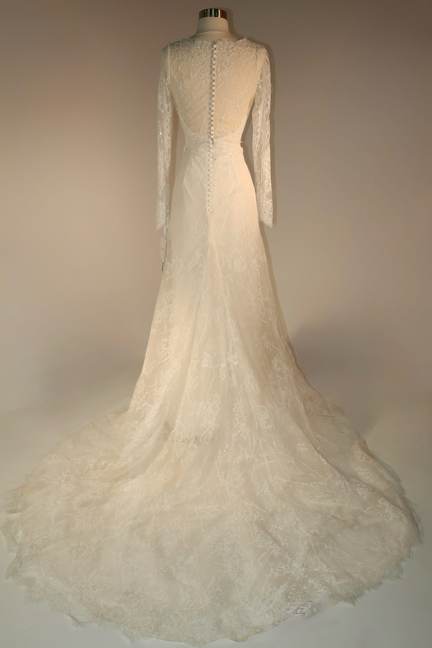 Floor Sample US10 Pronovias Bridal Dress