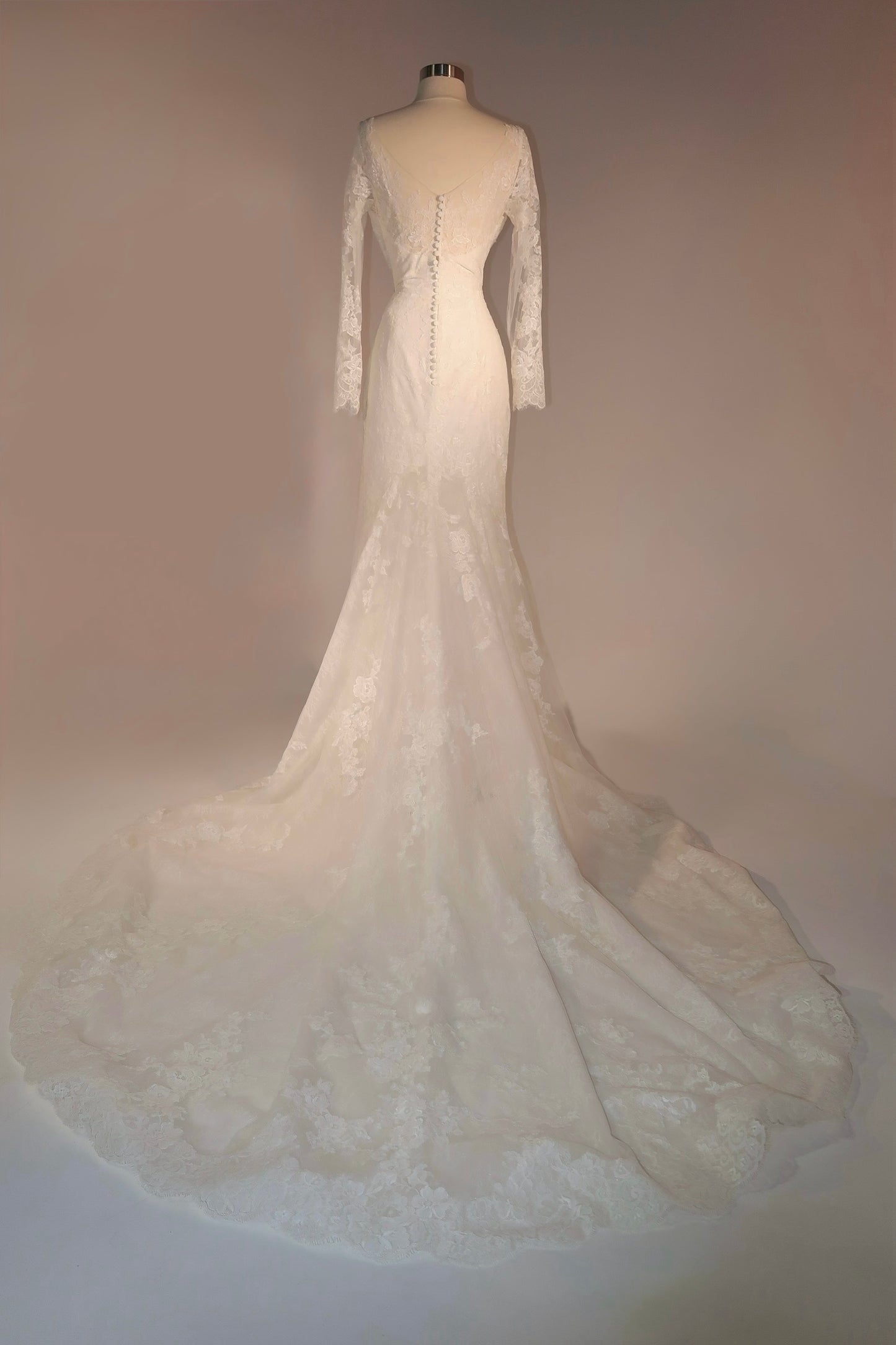 Floor Sample US8 Pronovias Maxi Dress