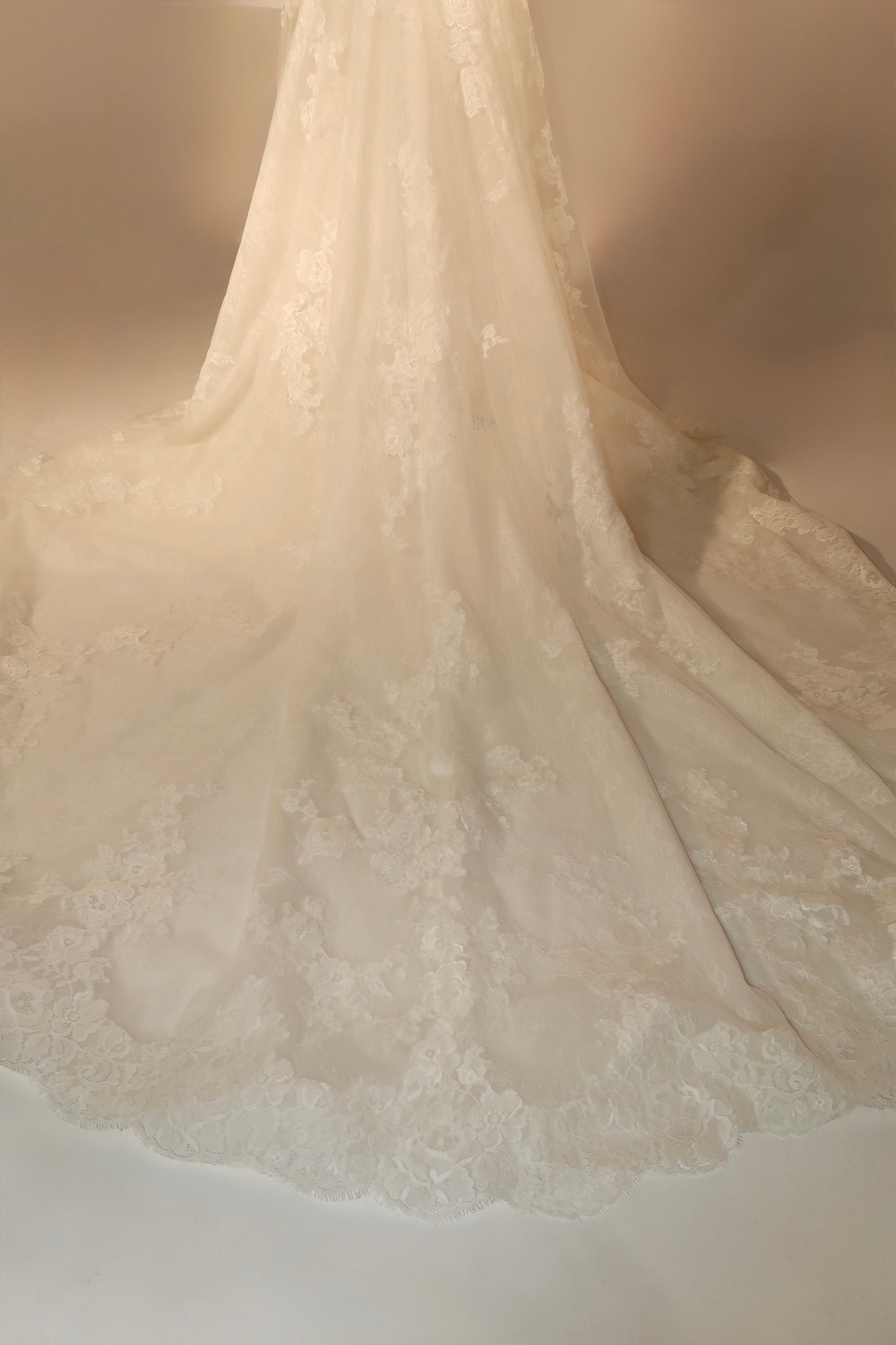 Floor Sample US8 Pronovias Maxi Dress