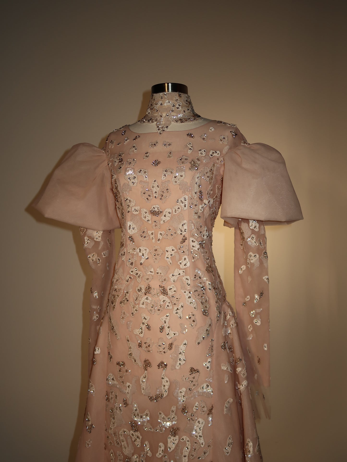 Brand New US8 Anna Augusta Maxi Gown