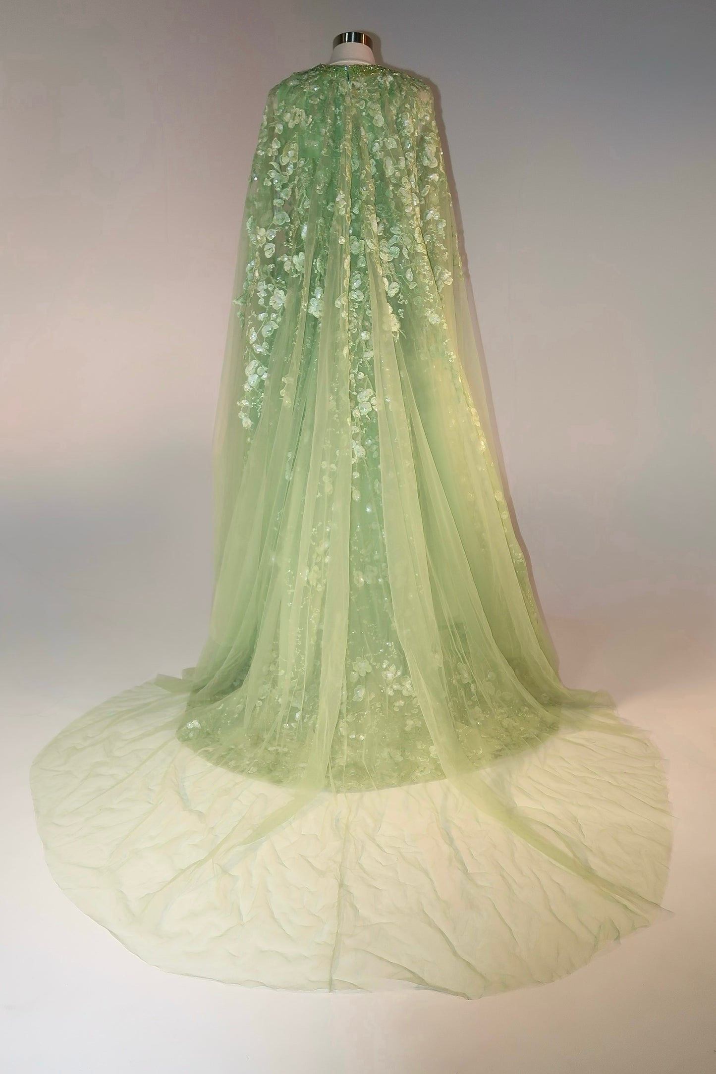 Floor Sample US12 Tony Ward Maxi Gown