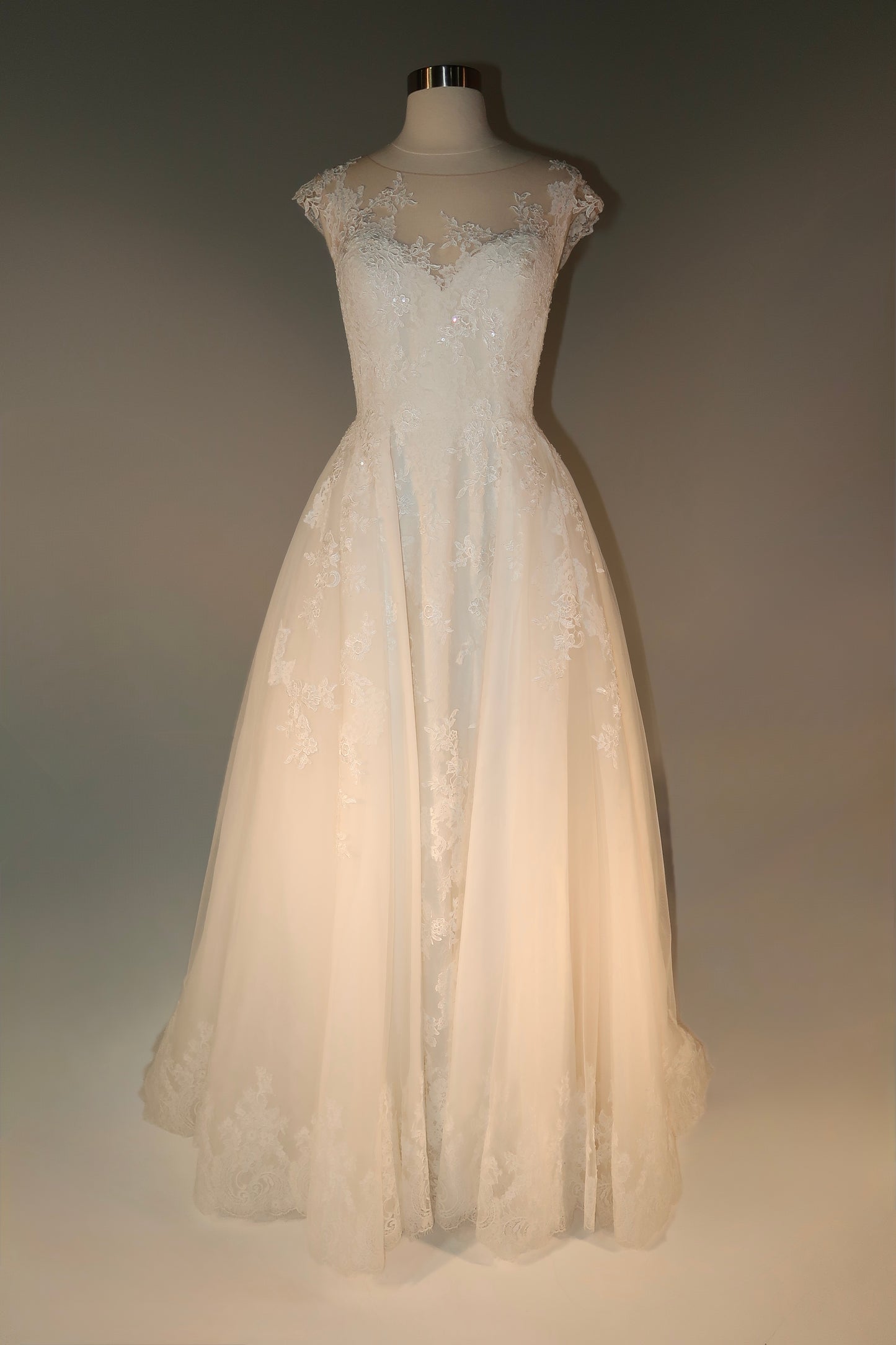 Floor Sample US12 Pronovias Maxi Gown