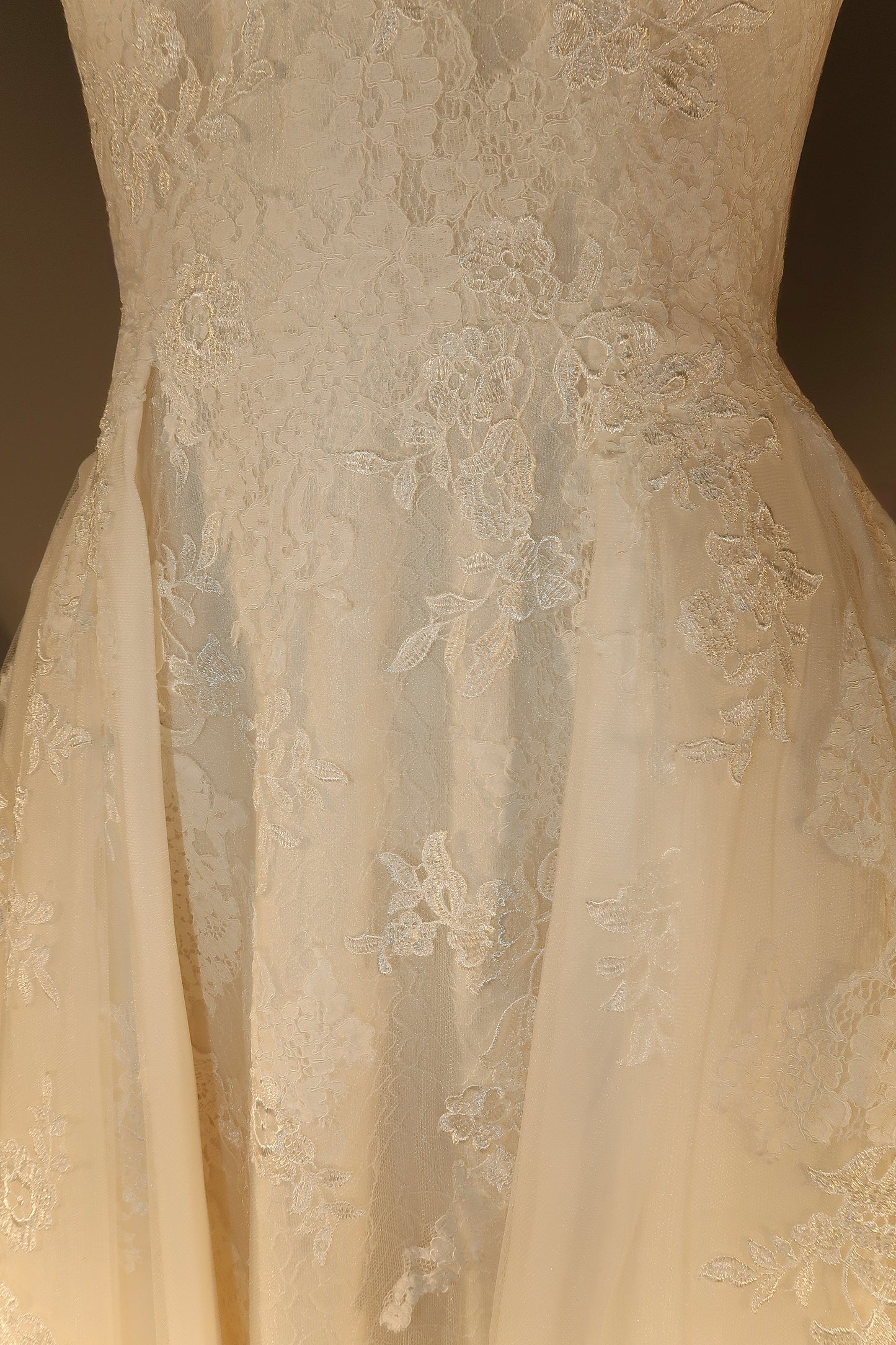 Floor Sample US12 Pronovias Maxi Gown