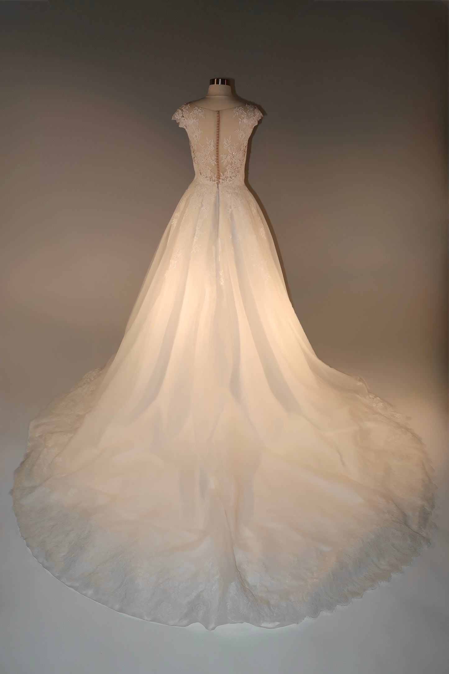 Floor Sample US12 Pronovias Maxi Gown