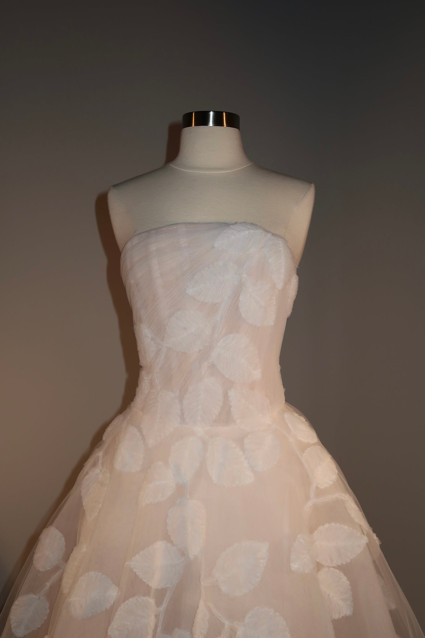 Brand New US6 Anna Augusta Maxi Gown