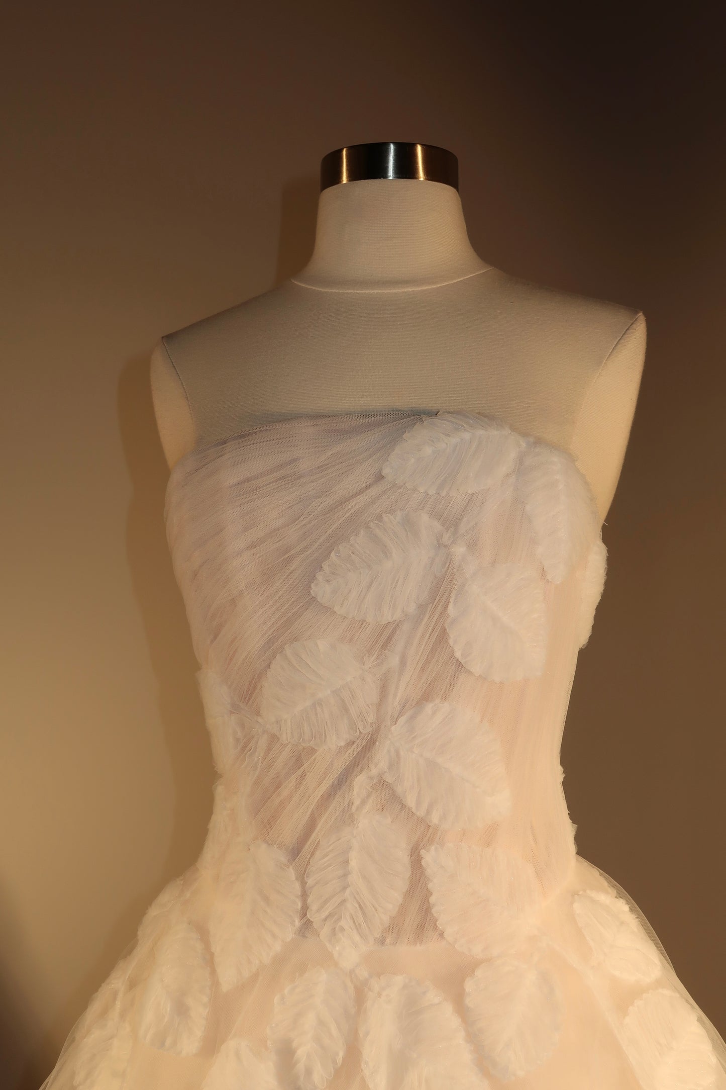 Brand New US6 Anna Augusta Maxi Gown
