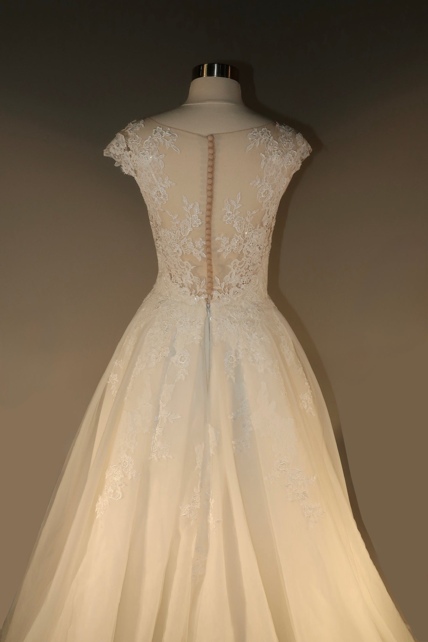 Floor Sample US12 Pronovias Maxi Gown