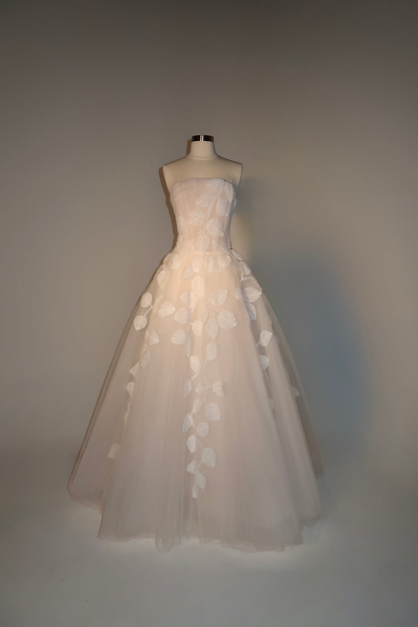 Brand New US6 Anna Augusta Maxi Gown