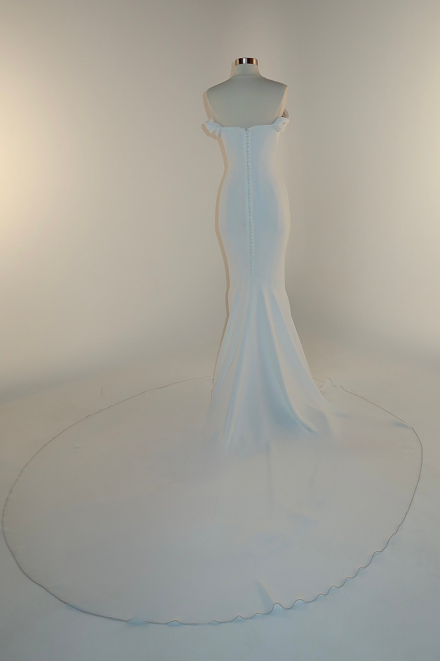 Floor Sample US 10 PRONOVIAS Maxi Gown
