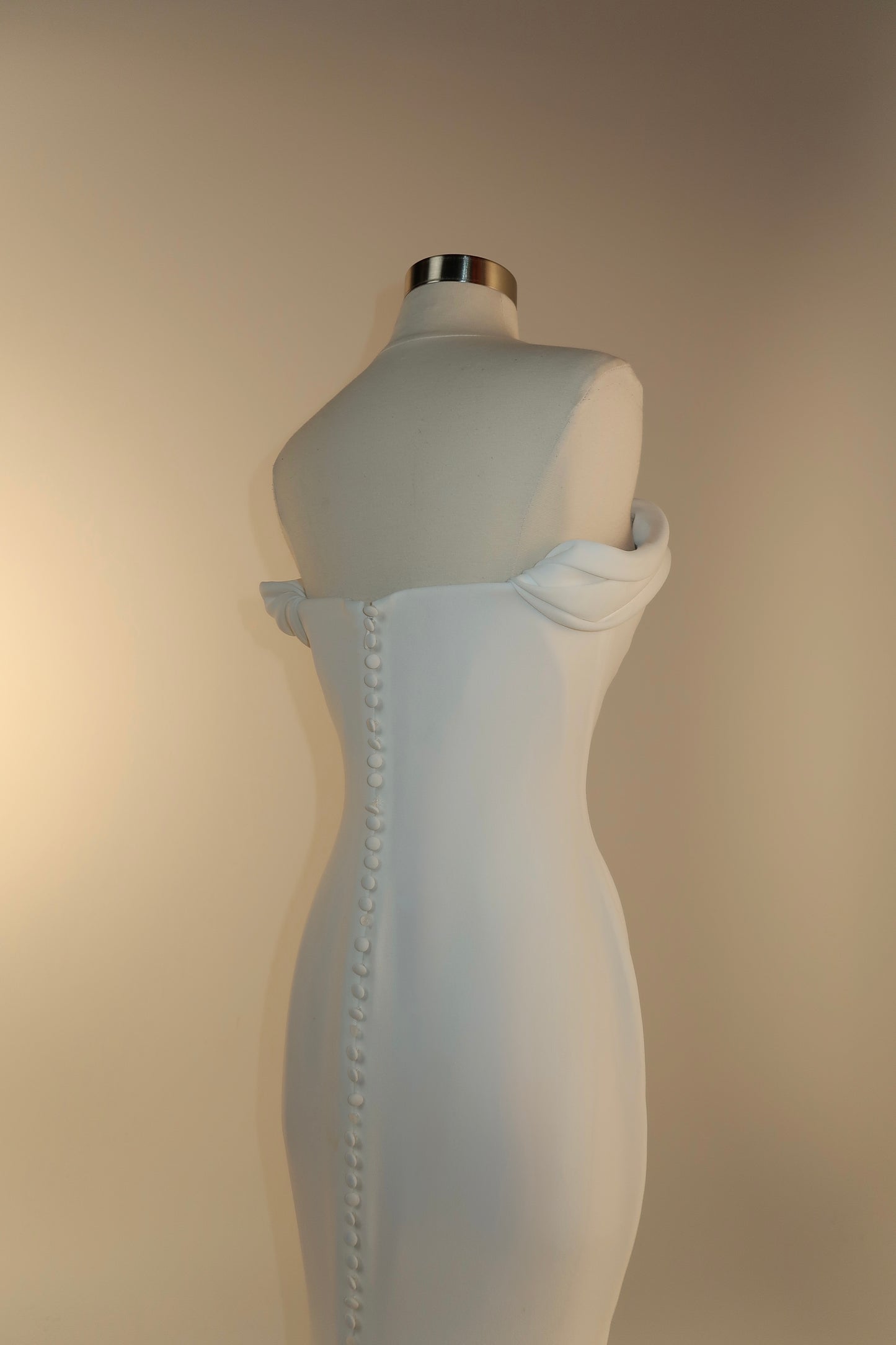 Floor Sample US 10 PRONOVIAS Maxi Gown