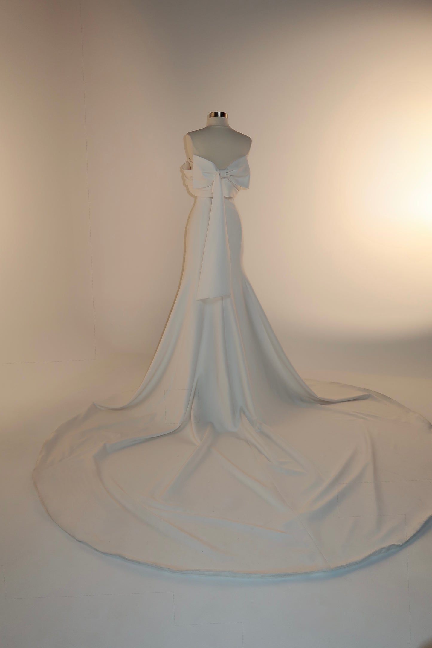 Floor Sample US 8 MILA NOVA Maxi Gown