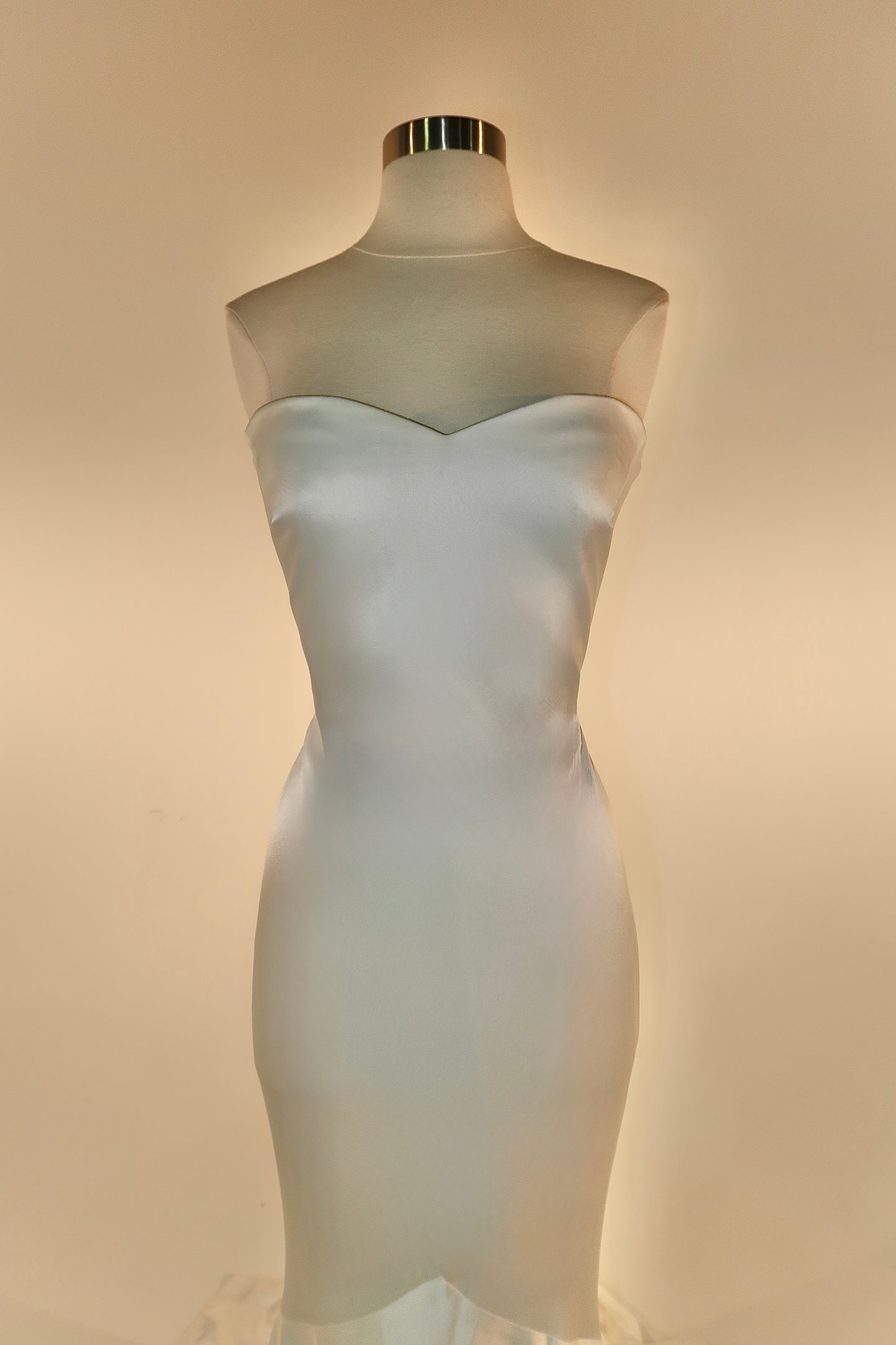 Floor Sample US 8 PRONOVIAS Maxi Gown