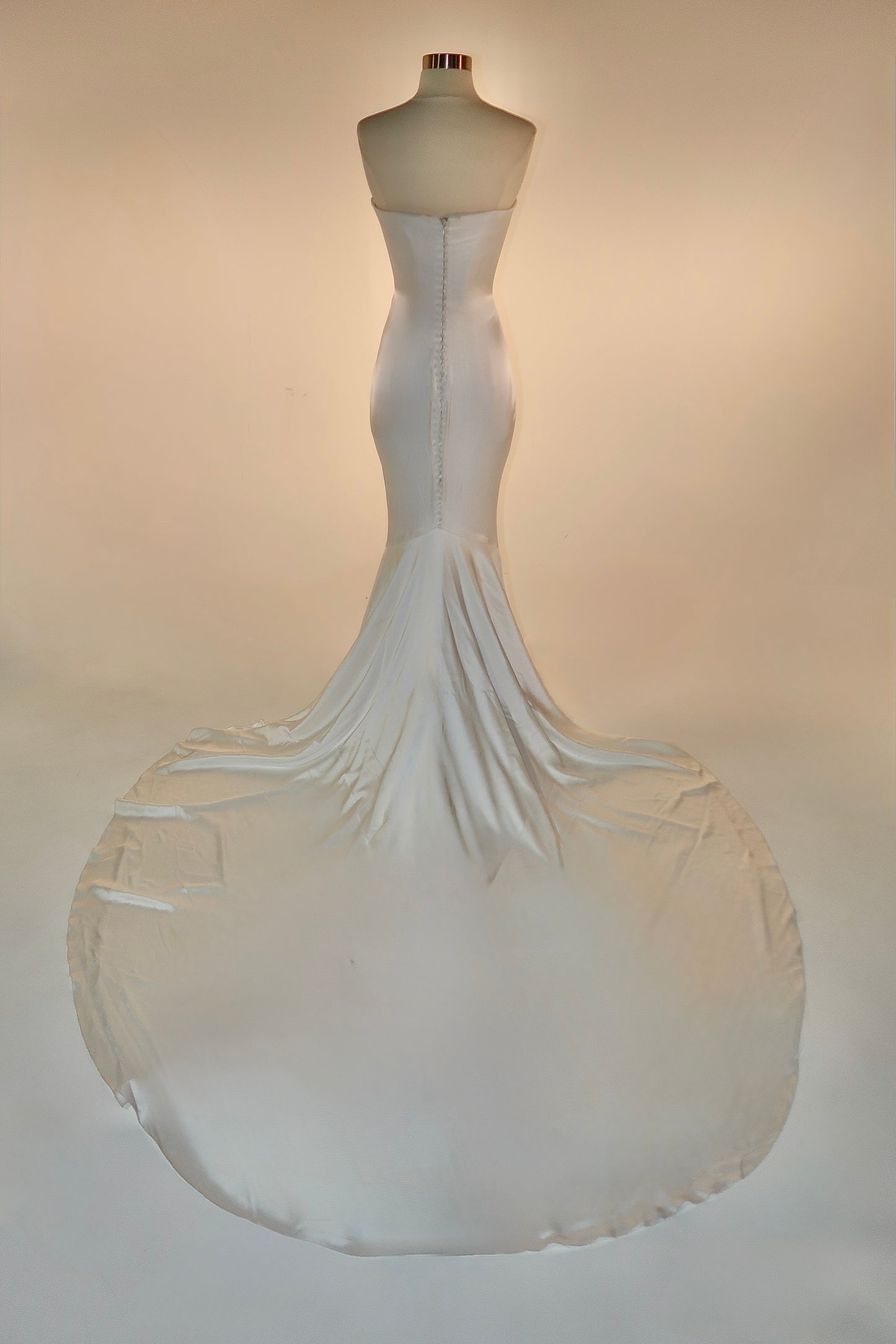 Floor Sample US 8 PRONOVIAS Maxi Gown