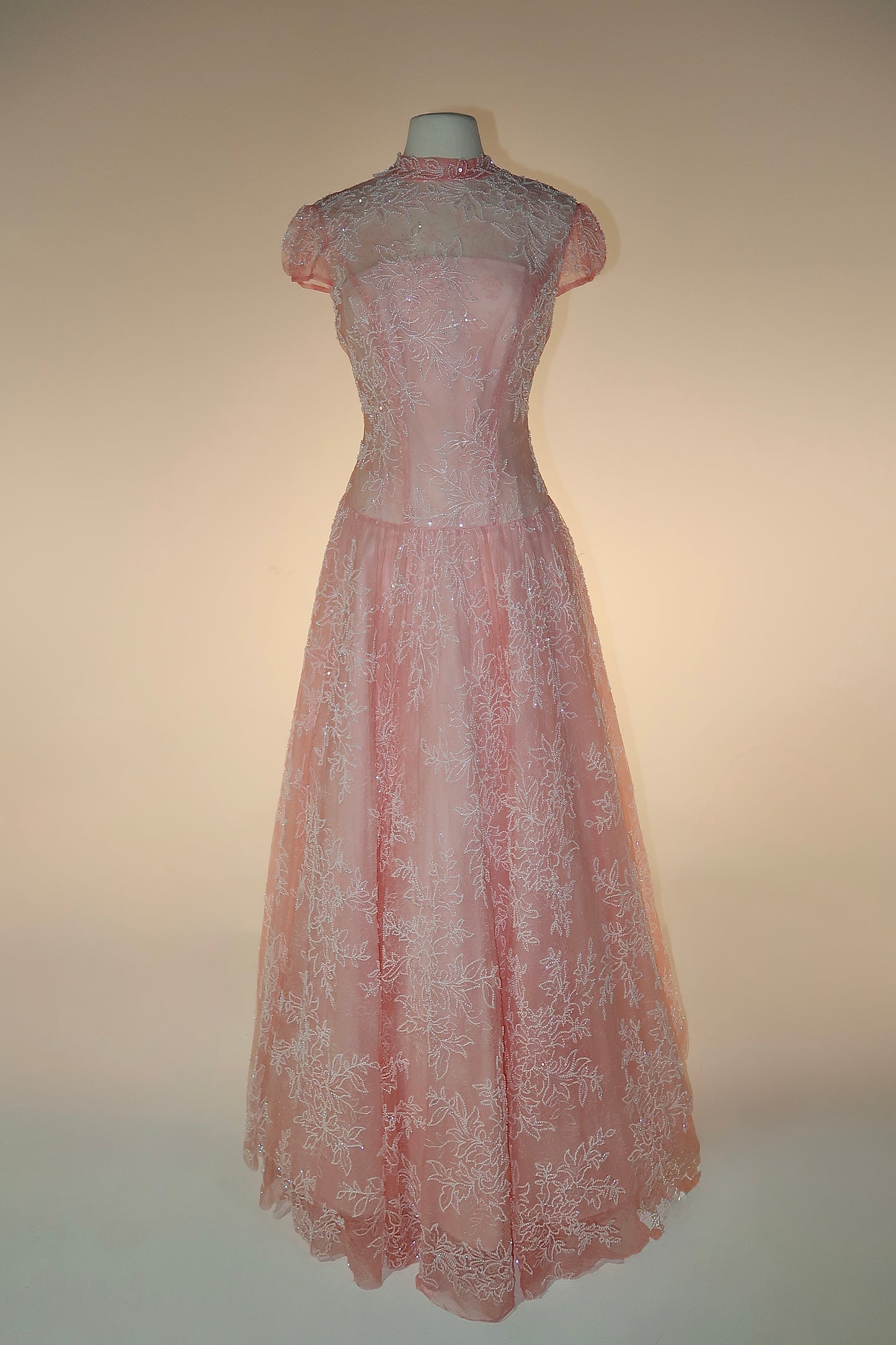 BRAND NEW US10 Anna Augusta Evening Gown