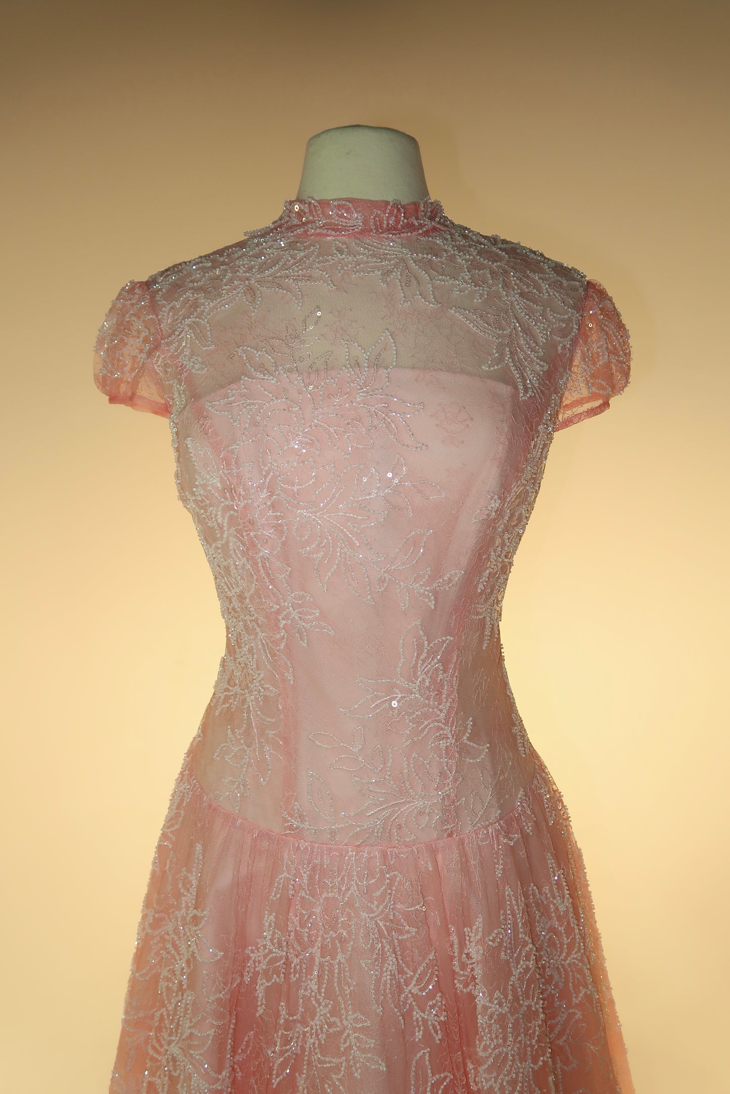 BRAND NEW US10 Anna Augusta Evening Gown