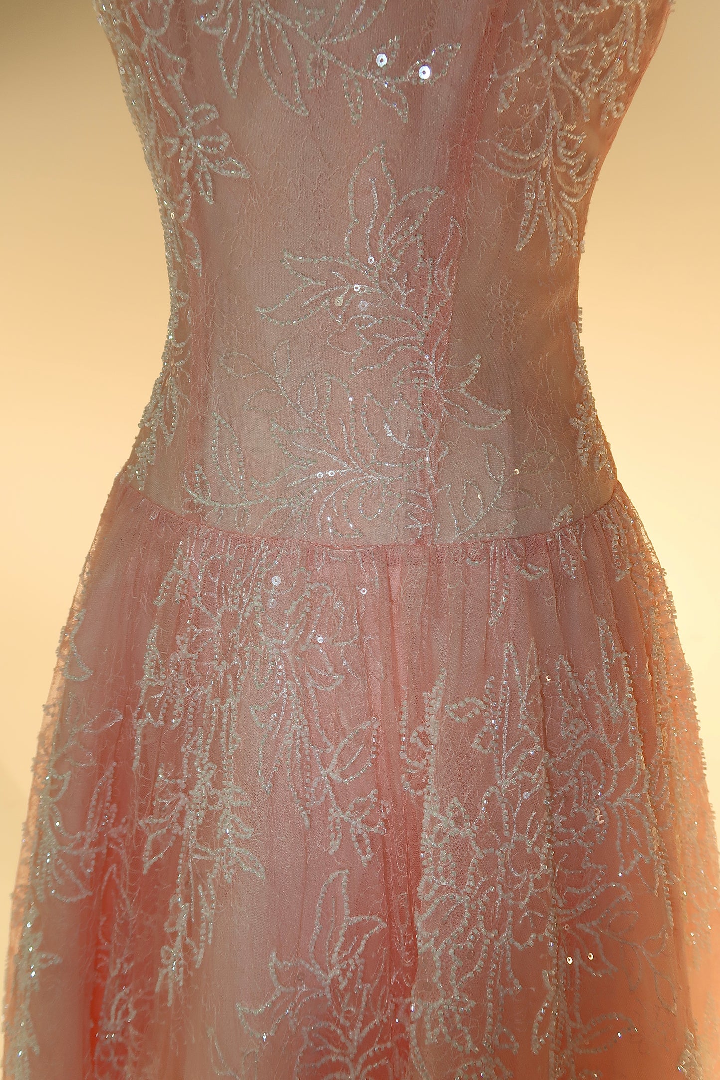 BRAND NEW US10 Anna Augusta Evening Gown