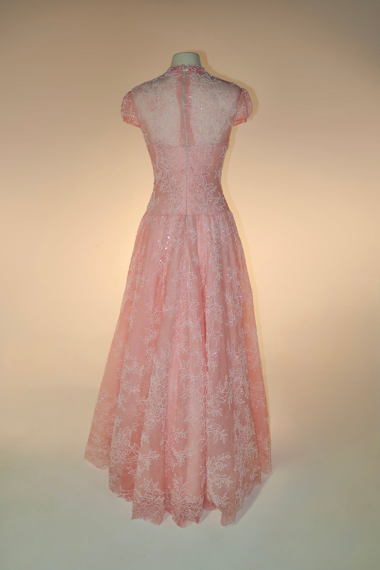 BRAND NEW US10 Anna Augusta Evening Gown