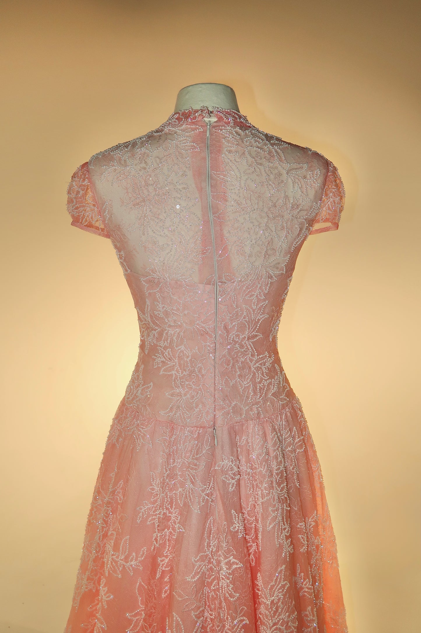 BRAND NEW US10 Anna Augusta Evening Gown