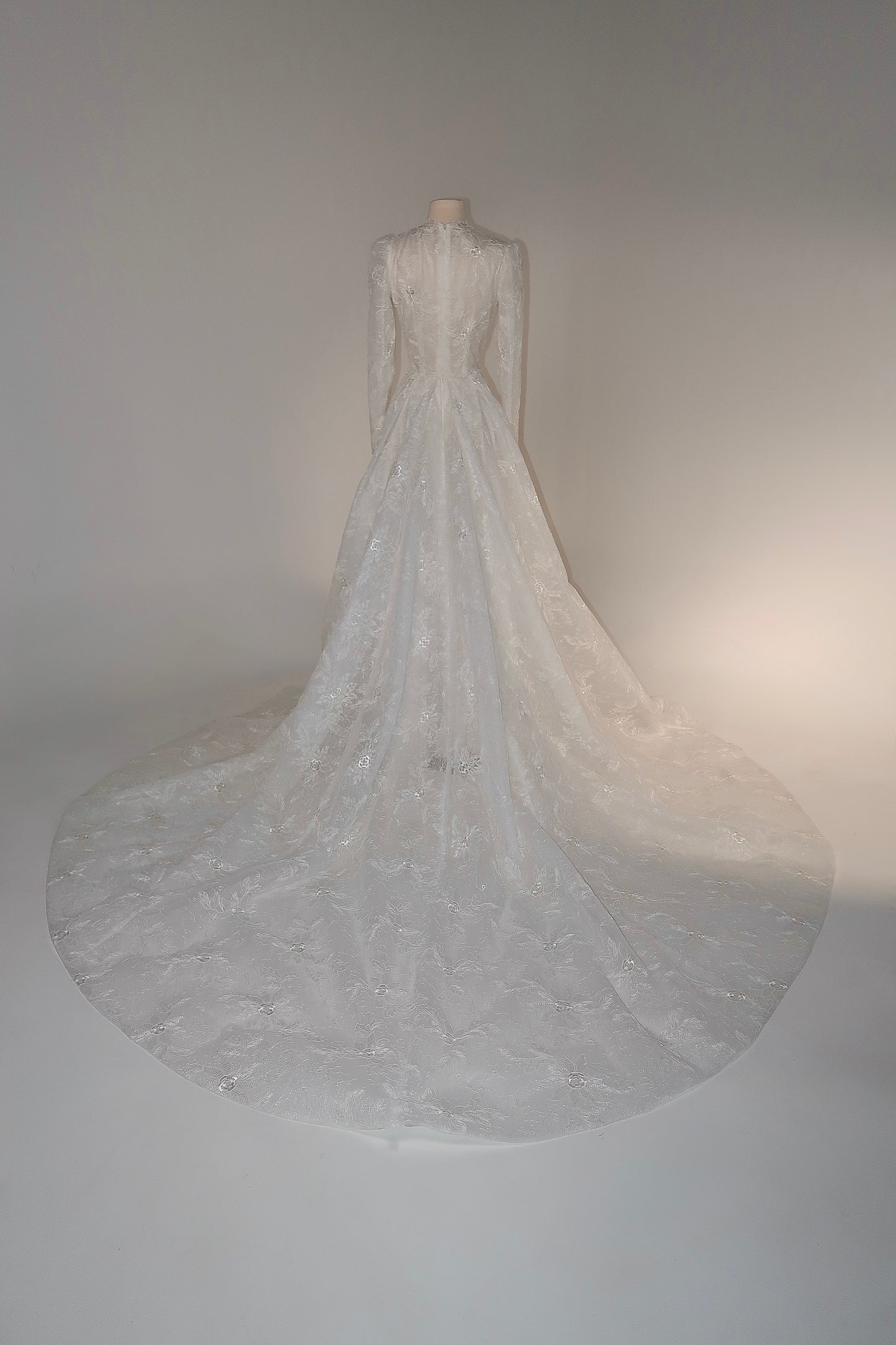Brand New US6 Anna Augusta Bridal Gown